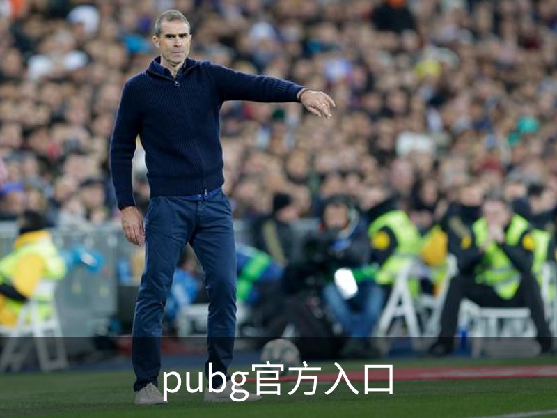 pubg官方入口概况